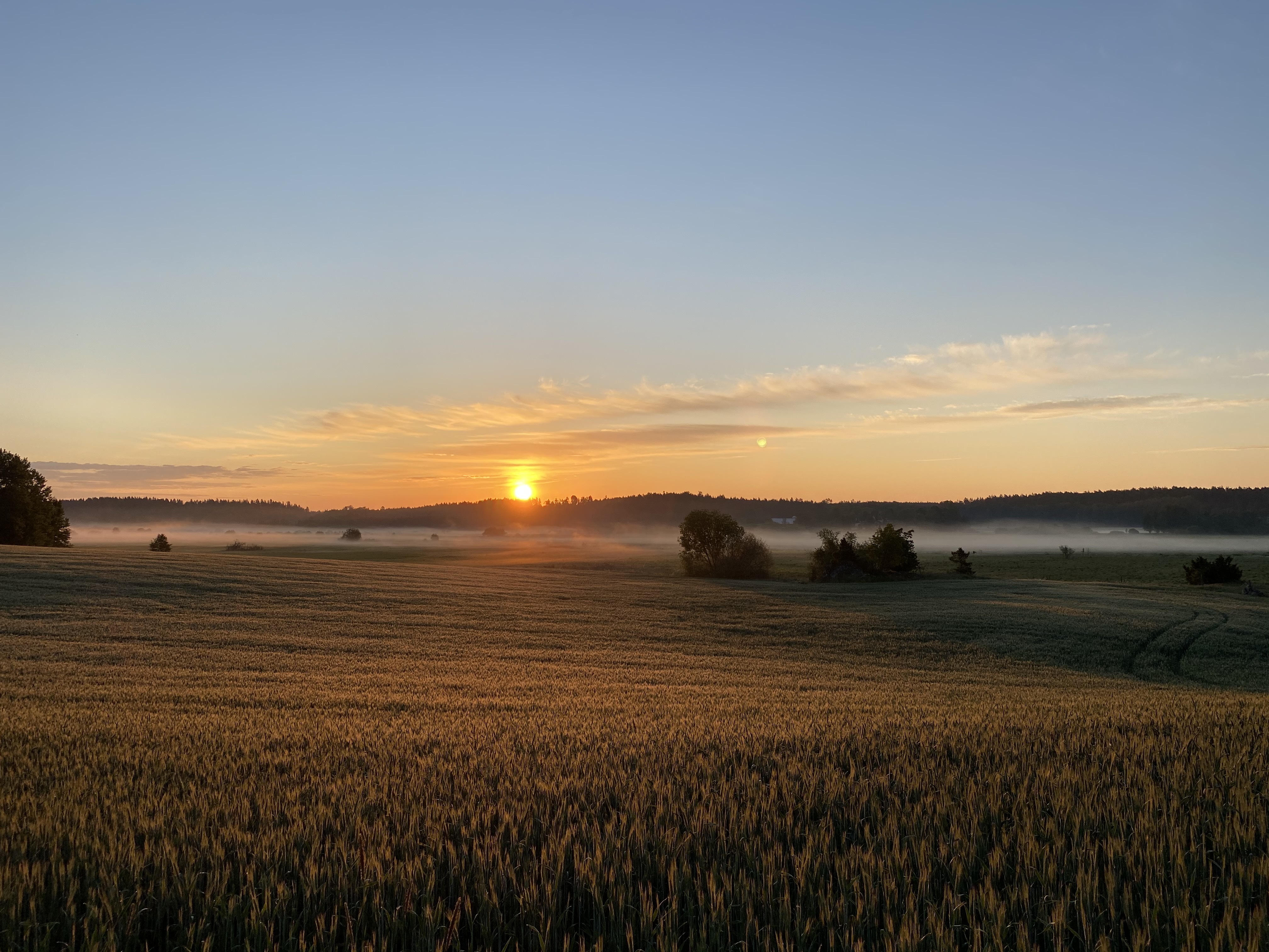 Jordnära Växa AB i 614 96 Östra Ryd - HVBGuiden.se - Sök efter 